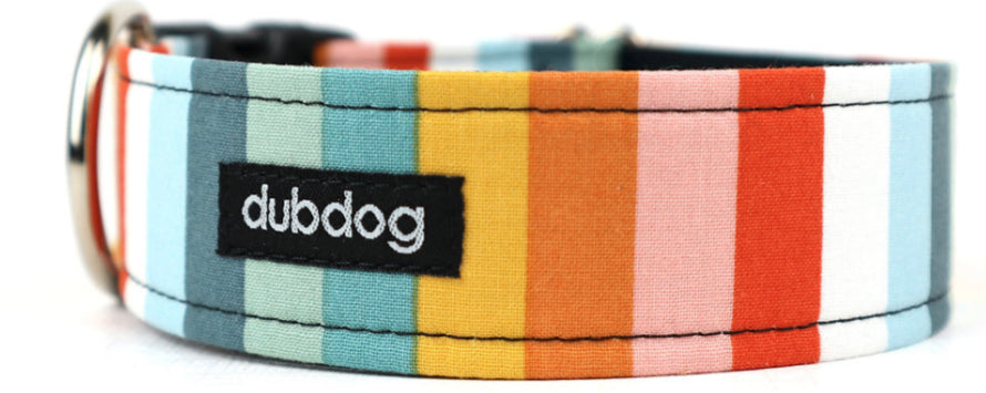 Dub Dog Steel Collar